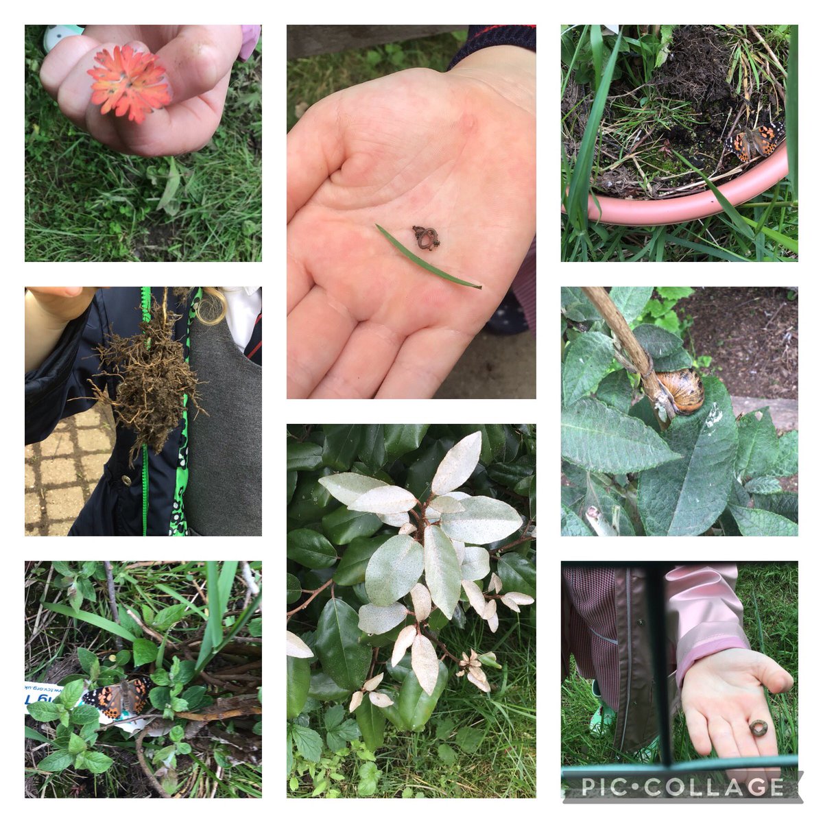 Y1Head's tweet photo. Year 1 have had a wonderful time exploring the forest school. 🌳🌱🌷🐛 https://t.co/3PyRmLo8iG