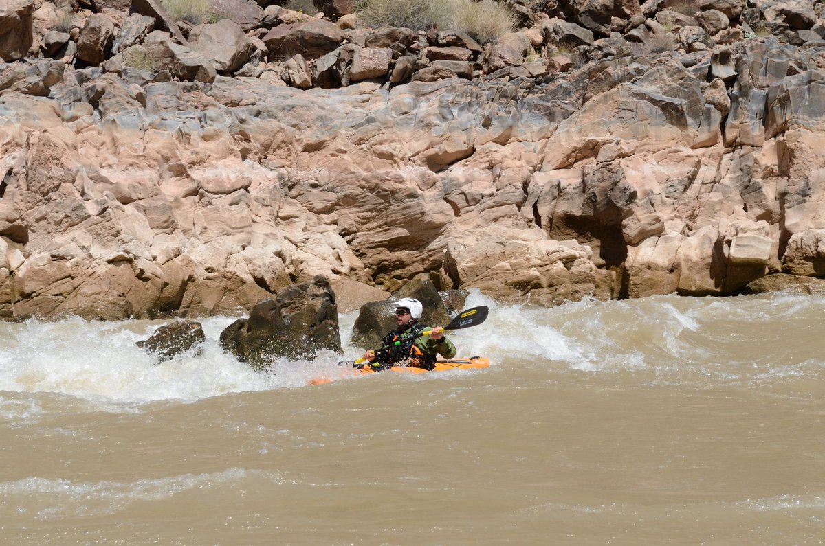 Roman Ryder tweet media