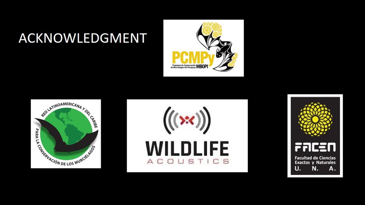 mbopipcmpy's tweet photo. 5 #WBTC2 #Con3 With both sampling techniques, it is possible that we might continue to find #newrecords of 🦇species. This work is a great opportunity to monitor for #conservation purposes within a protected “island” in an #urbanarea. 🌳🦇🦇🏦💚 https://t.co/ghaGh4MKUt