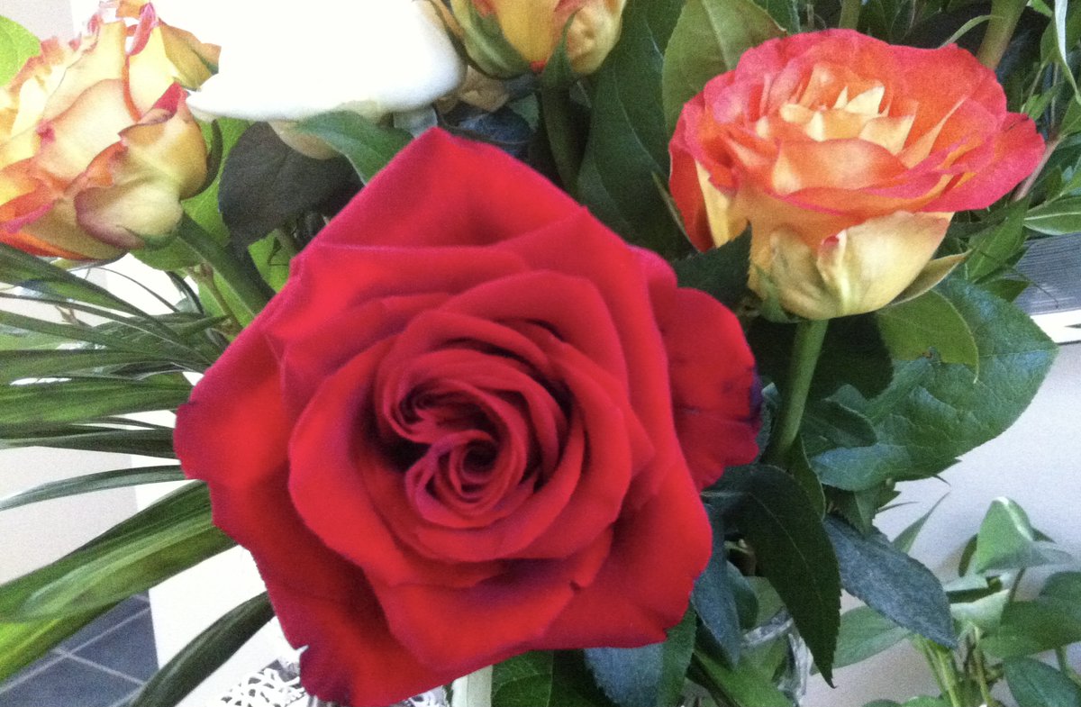 Happy Friday! May your weekend be fantastic!  #FlowersOnFriday #FridayFlowerDelivery #Smile #Friday #FridayFlowers