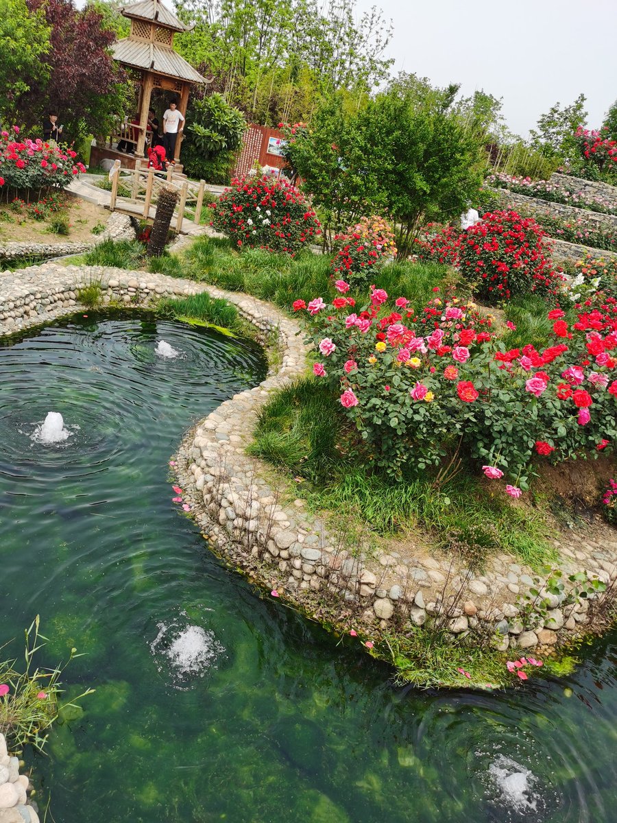 Andra Melbourne (@andramelbourne) on Twitter photo 