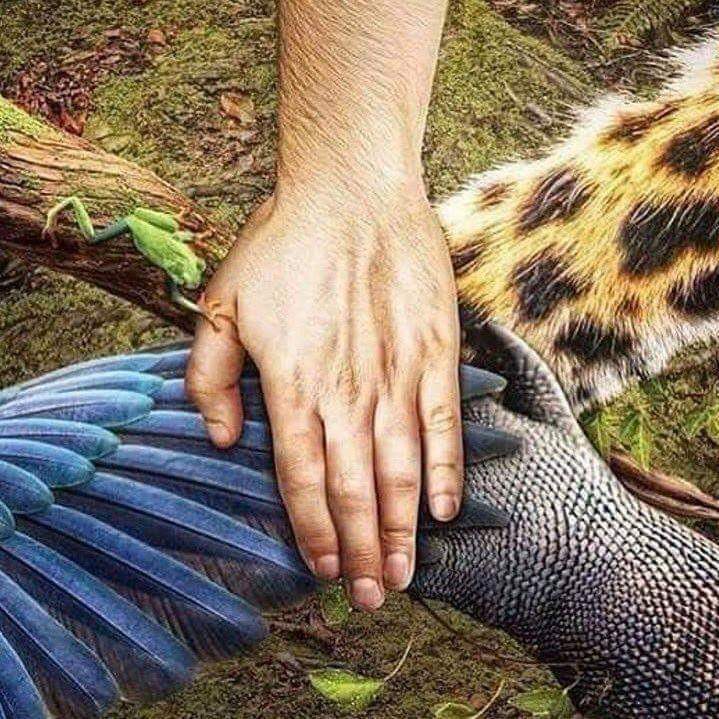 Ericatoledoe's tweet photo. Respeto, solidaridad, cooperación, confianza 💚💙❤
Una alianza por la vida, una alianza por nosotros, una alianza por nuestro planeta. https://t.co/JUjpoMfYbn