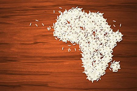 Soja, blé, maïs… les prix mondiaux flambent, mais heureusement, pas le riz | agenceecofin.com/dossier/2805-8…