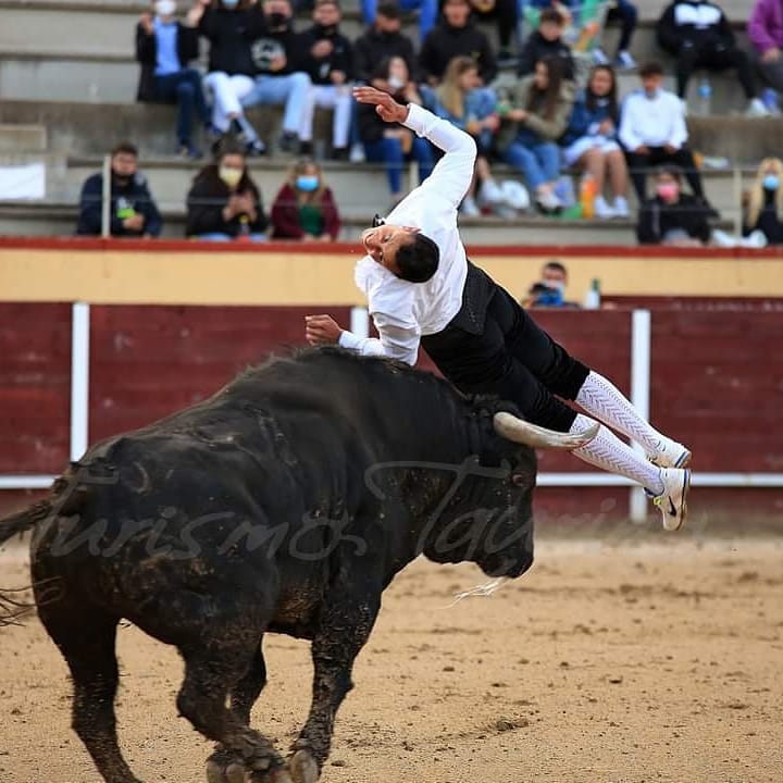 ¡SUSTITUCION DE ULTIMA HORA!
El recortador Javier Pradanas no podra asistir mañana sabado 29 al concurso de recortes en Montehermoso debido a una lesión, en su lugar podremos disfrutar del gran Pakito Murillo.Desde Bermara Cauria le deseamos una pronta recuperación y verle pronto