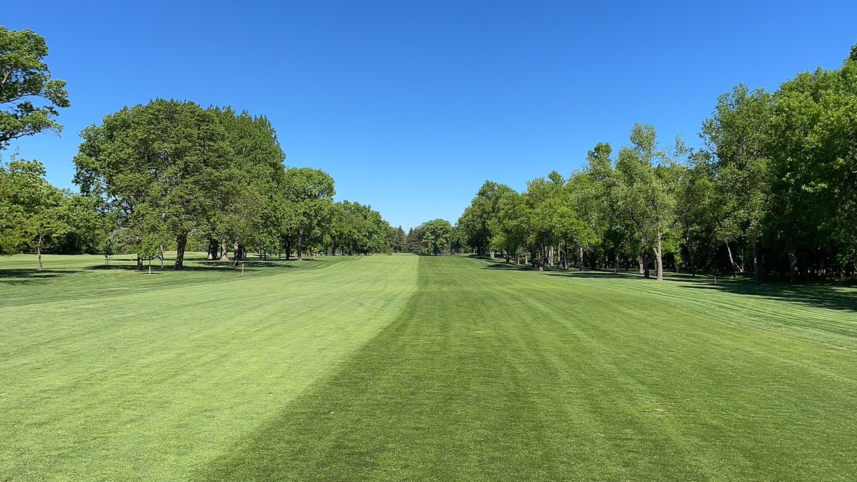fwanky34's tweet photo. @gmacpga this is the work of @jspitz29 i think he is a believer now. #halfandhalf #bestcut https://t.co/SBNvMx5RX4