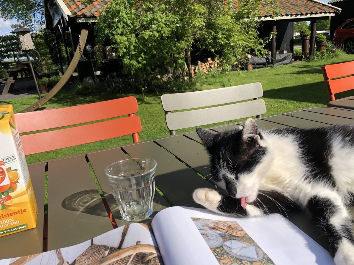 Antje_Kingma's tweet photo. Wat een weertje hè... 😁 #tedoen https://t.co/n4KYM9Ep2x