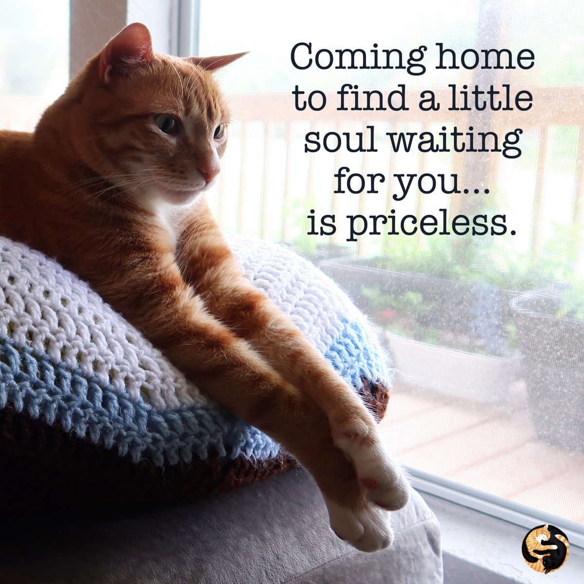 One of my favorite things ❤