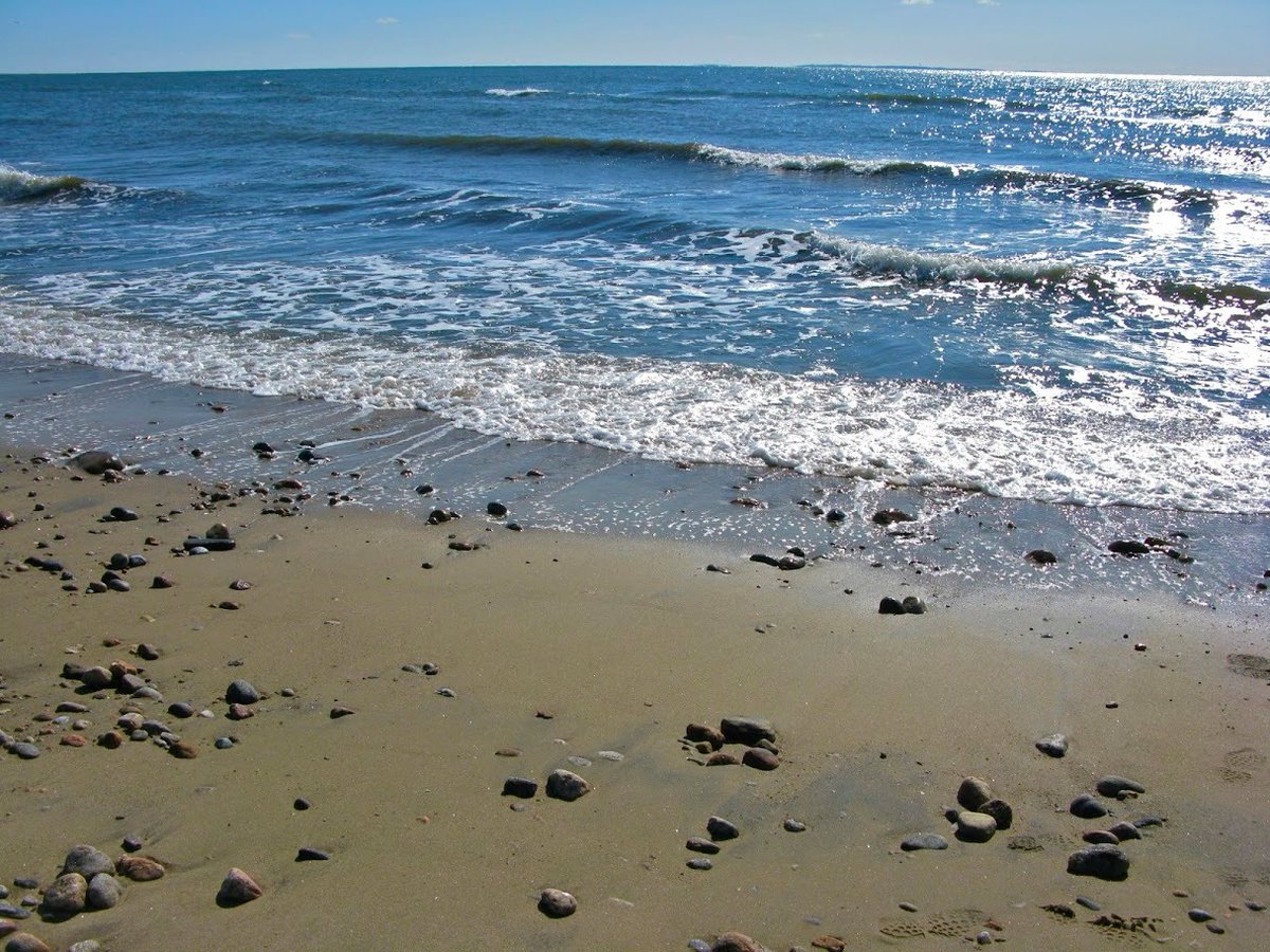 SavetheSound's tweet photo. Happy Long Island Sound Day!
Oxygen levels in the Sound are increasing, according to a peer-reviewed study. That's vitally important for fish and other aquatic life.
Read more about it here:
https://t.co/cBUmdNx6pM
#LISStudy #SavetheSound #cleanwaterforall https://t.co/mbpaDH72pa