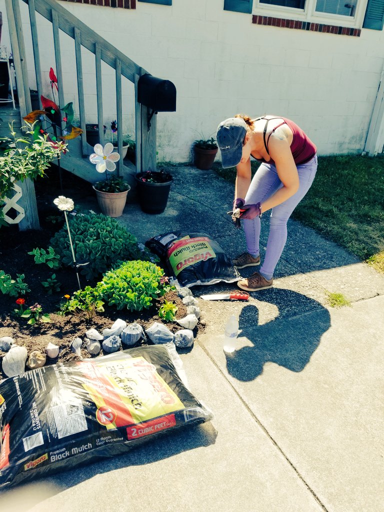 DesireDevonXoXo's tweet photo. Flowerbed is mulched and finished. 🌱🌿🌻⚘🌼🦋
#superexcited #hardworkpaysoff https://t.co/G6dSL07IS2