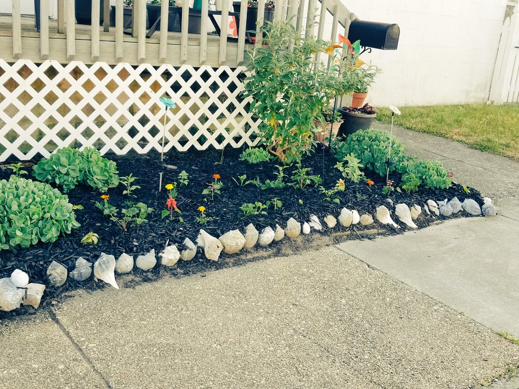 DesireDevonXoXo's tweet photo. Flowerbed is mulched and finished. 🌱🌿🌻⚘🌼🦋
#superexcited #hardworkpaysoff https://t.co/G6dSL07IS2