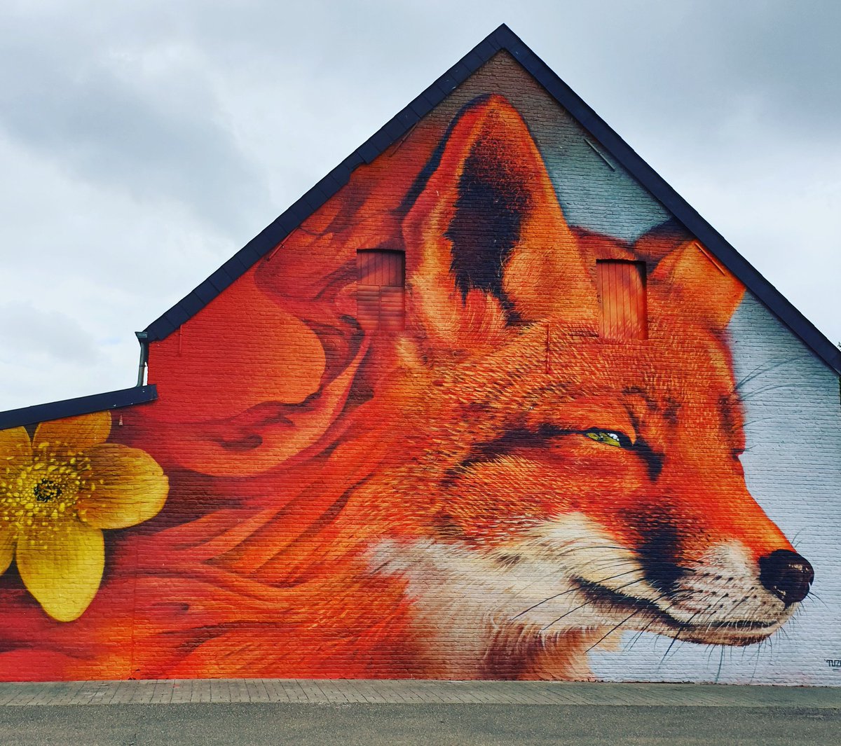 tinkerbel_64's tweet photo. #Streetart #vos #Tuzq #Testelt https://t.co/EPuwVLmukq
