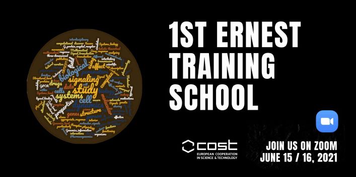 ICTAC_Events's tweet photo. ERNEST TRAINING SCHOOL on #GPCR, signalling, receptor sturcture. Hosted by the dedicated Ernest mapping group around @JanaSelent. Runs from June 15/16, 2021. More info via @ErnestNetwork and https://t.co/4Ry9fOtZso Proudly hosted by #ictac. https://t.co/pnx1Rrt7gI