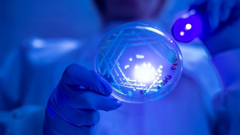 We’re delighted that the University of Leicester has once again been named in the Top 5 UK universities for Clinical Medicine. 👏 #CitizensOfChange

👉 le.ac.uk/news/2021/may/… 👈