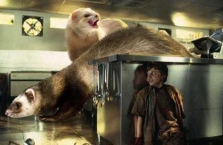 iheartferrets's tweet photo. Jurassic Park but with #ferrets instead of dinosaurs. #ferret #JurassicPark https://t.co/rUYU4y8duo https://t.co/HbmUjaRyXP