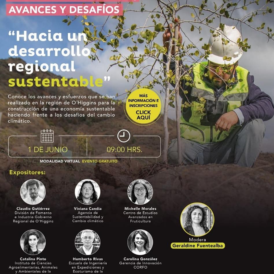 cdellibertador's tweet photo. 📍Te invitamos a participar y conocer los avances y lineamientos de la nueva Estrategia Regional de Innovación y el impacto esperado en la región. 

👉Inscríbete AQUÍ 👇

https://t.co/6iT5pxEALW

☑️ 1 de Junio 09:00 Hrs. 
☑️ 2 de Junio 09:00 Hrs. 
☑️ 3 de Junio 09:00 Hrs. https://t.co/0oTqhmfCH9