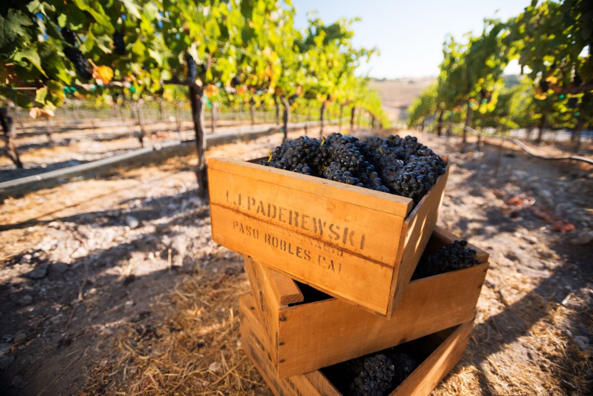 In 2004, Bill and Liz Armstrong became the stewards of #PaderewskiVineyard, with a mission to bring this historic vineyard back to life. Pronounced “Epic”, <a href="/epochwines/">Epoch Estate Wines</a> is a shining example of why #PasoRobles is arguably the most exciting wine region in the World right now.