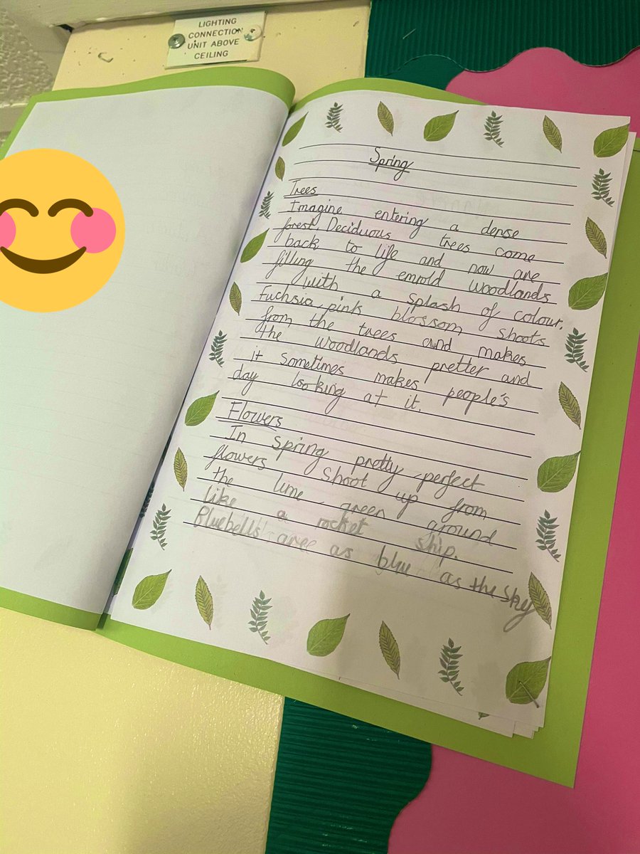 Miss Mozley-Year 3🌟 tweet media