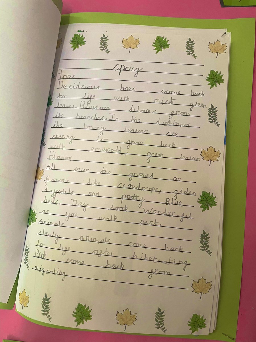 Miss Mozley-Year 3🌟 tweet media