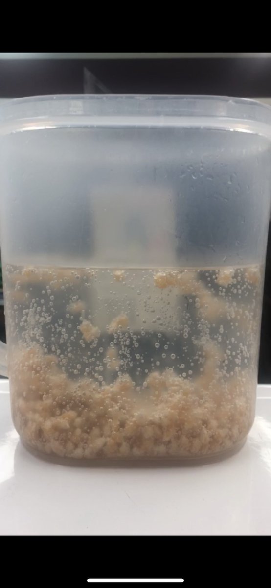 sohackms's tweet photo. Dancing popcorn for P Day in Third Grade! #PDay #DancingPopcorn #CountdownToSummer https://t.co/tnYHHbPhsm
