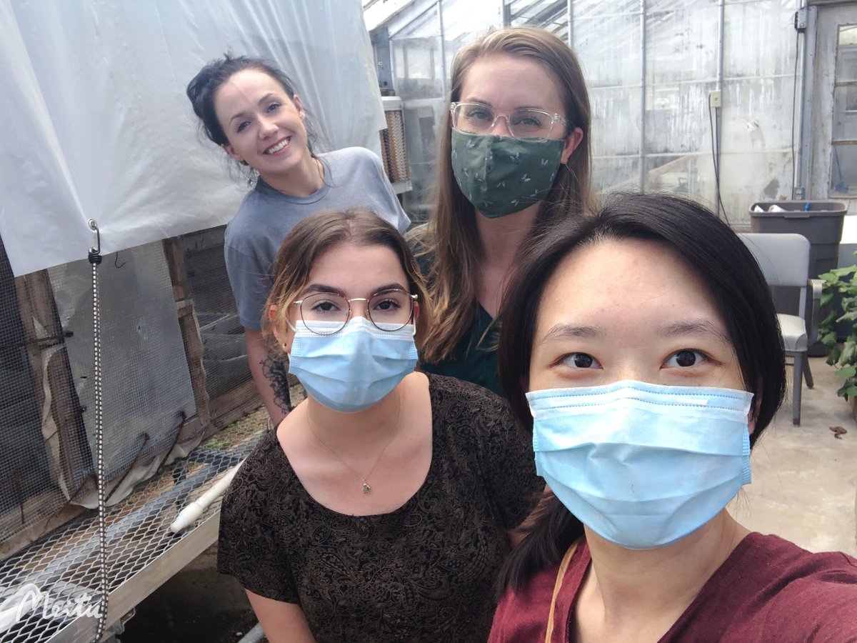 Big thank you to <a href="/FliesFacility/">Jeff Tomberlin</a> and <a href="/JACammack/">Jonathan Cammack</a> for teaching us (<a href="/TessaJung1/">Tessa Jung</a> ) about #BSF rearing and maintenance. Love the possibility of reducing #foodwaste and increasing #sustainable practices.