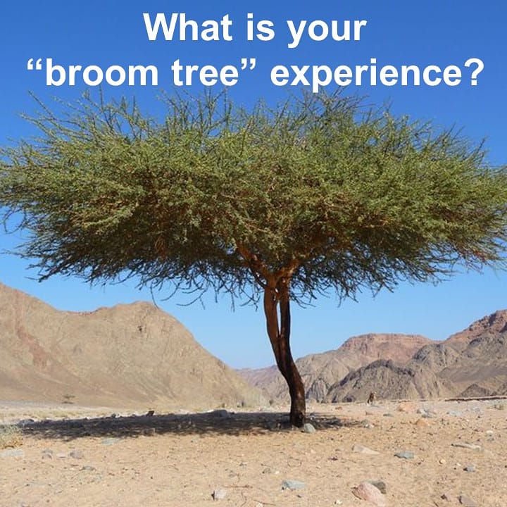 EWesleyanChurch's tweet photo. Elijah's broom tree experience - he was tired, afraid &amp; forgot that God had his back.

What is your broom tree exp?
Job situation, wayward child, grief, health, relationships?

Hear about God's presence, promises, &amp; provision in midst of our problems. 
9 a Jonesboro
11 a Gas City https://t.co/6y4HDcCzE2