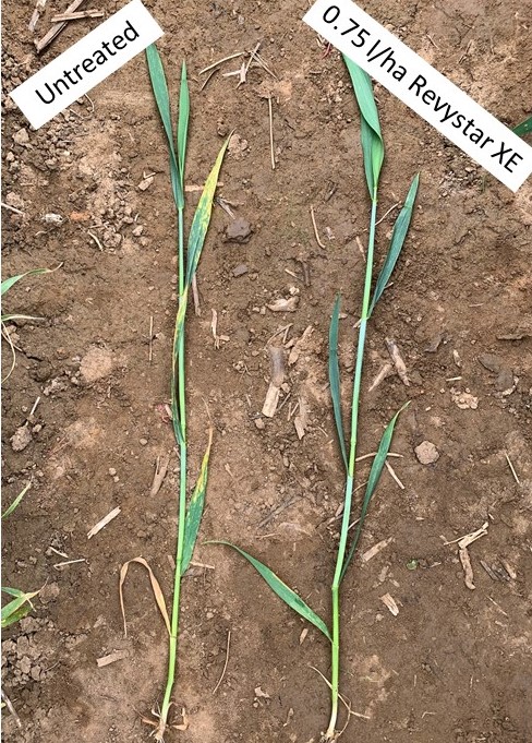 Jon Helliwell tweet media