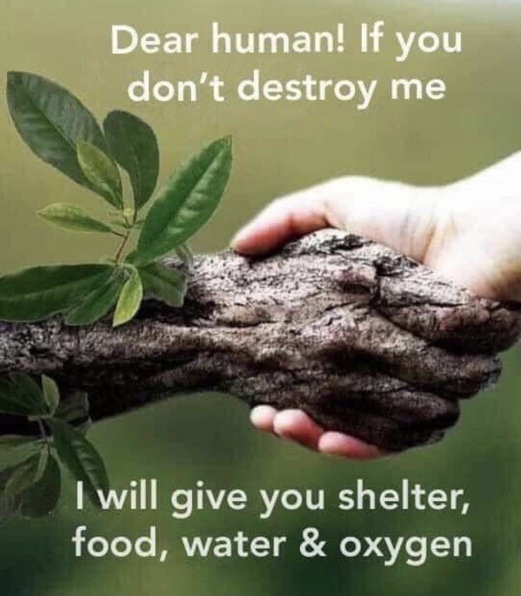 🌱🌹❤️ Anonymous for the voiceless ❤️🌹🌱 tweet media