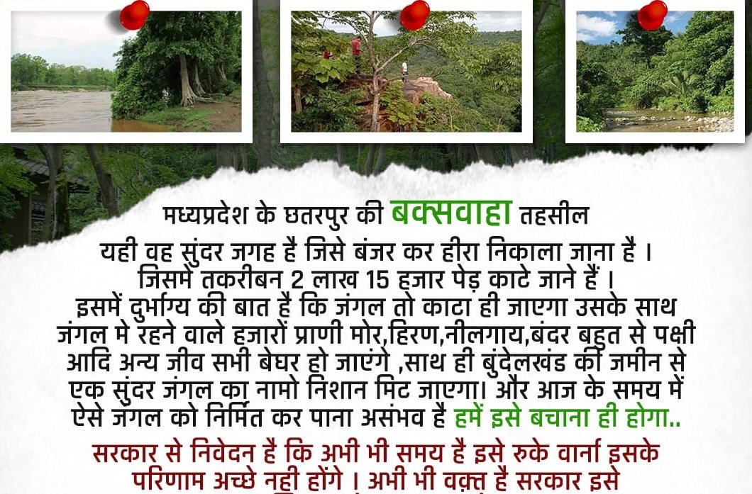 RavikantPatida3's tweet photo. @vijaysingh47190 @Vedprkashbharat @ChouhanShivraj @CMMadhyaPradesh @PrakashJavdekar @collchhatarpur @EarthWorri @ndtvindia @ravishndtv @pratimamishra04 @Kumkum26 https://t.co/DturBN5e6r