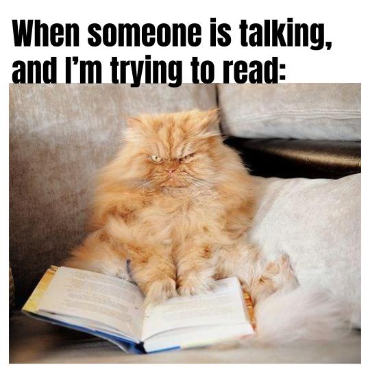 LibraryTES's tweet photo. Happy Friday! Enjoy the winners of our 5th grade meme competition! Students created library/reading memes that were judged by actual meme librarian and internet trend expert, Amanda Brennan! We loved their creativity and humor! https://t.co/2pcY5nGhWV