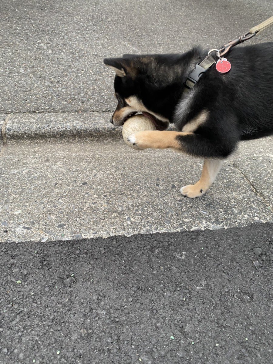 ベズ