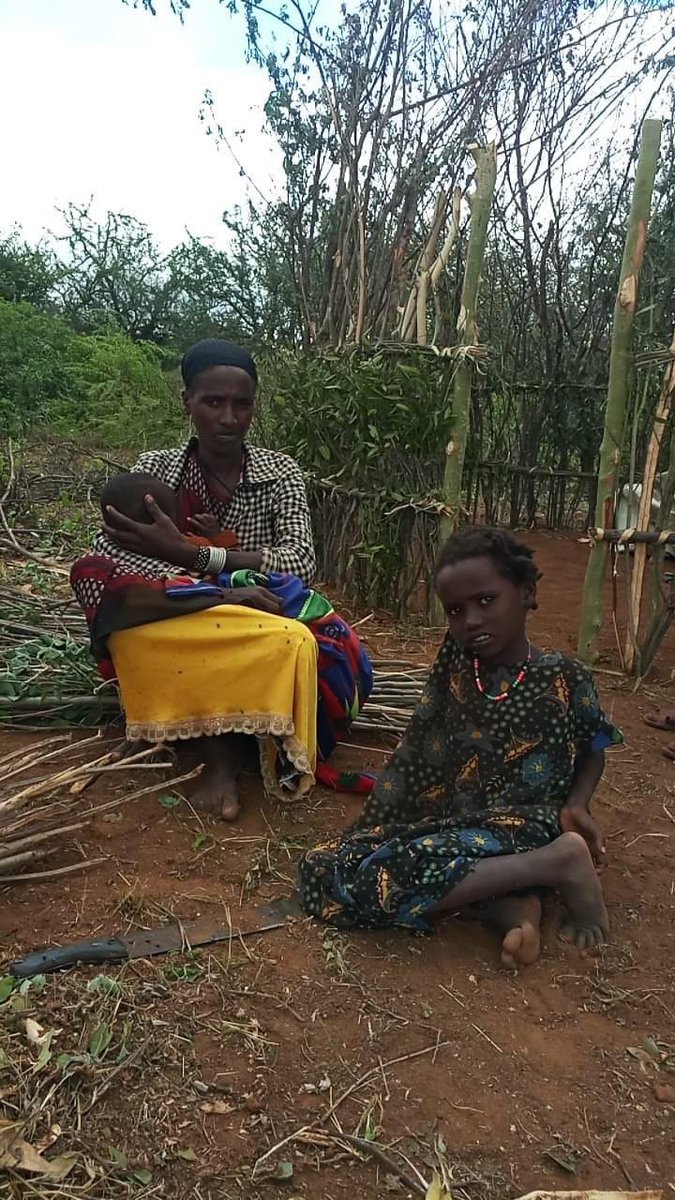 am_farst's tweet photo. “Ethiopian govt killed my son, forbid me from taking my son’s body &amp; hold a proper burial. Vultures ate my son’s dead body”. They threatened to kill my entire family so i fled to Kenya with 300 residents of my town”. This is a testimony of a mother that lost her child in Borana. https://t.co/vaig98Jcyl