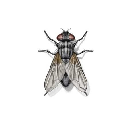 parsonsdialogue's tweet photo. My #check-in question to the group, "How are you arriving today?" got these two responses:  "spry and a fly" and "zip as a chip".  I don't really know what they mean but they deserve extra marks for their cheeriness!  #facilitation #groupprocess https://t.co/oFAdv5VjT0