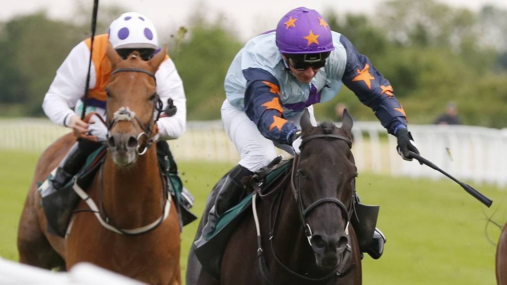 kevinblake2011's tweet photo. Here are my thoughts on a very competitive card at Haydock tomorrow, including two double-figure price selections. RTs appreciated. https://t.co/OARKRk3vRx https://t.co/K34UeVaxMp