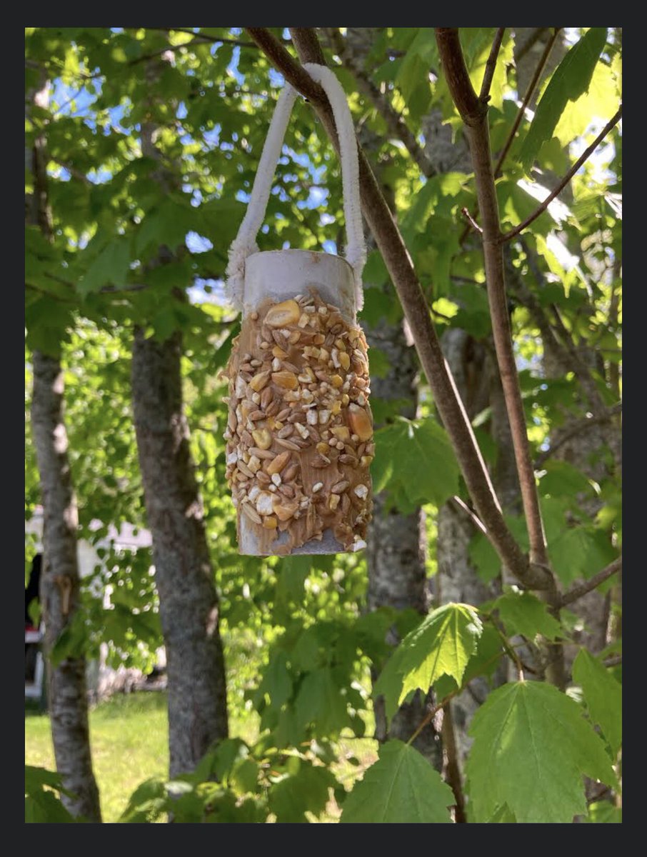 This week we watched <a href="/brilliant_labs/">Brilliant Labs / Labos Créatifs</a> presentation on bird feeders! Here is what some of these little rockstars made! <a href="/SMES01/">St. Mary's Elem</a>