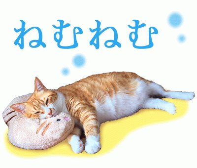 朝まで生テレビ Hotワード