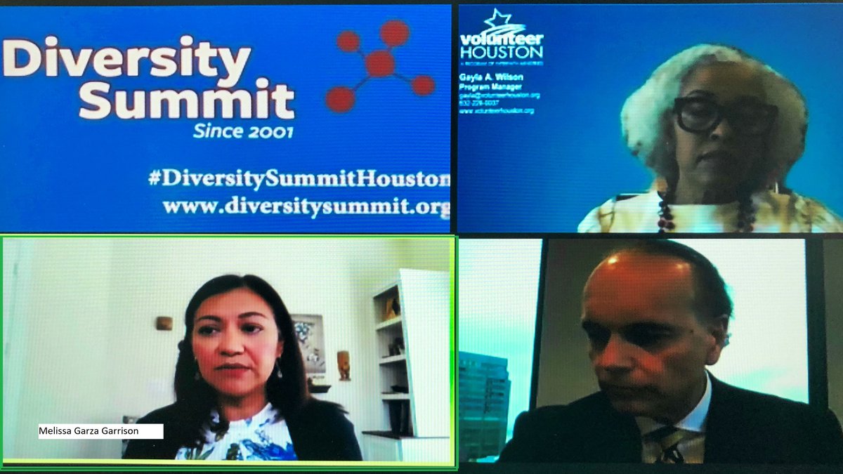 BridgewayCM's tweet photo. Bridgeway’s Director of Talent, Melissa Garza Garrison, speaking on the intersectionality of Corporate Social Responsibility (CSR) and Diversity, Equity, and Inclusion (DEI) at Diversity Summit 2021. #relationalinvesting #diversityandinclusion https://t.co/YthUSC8lfF