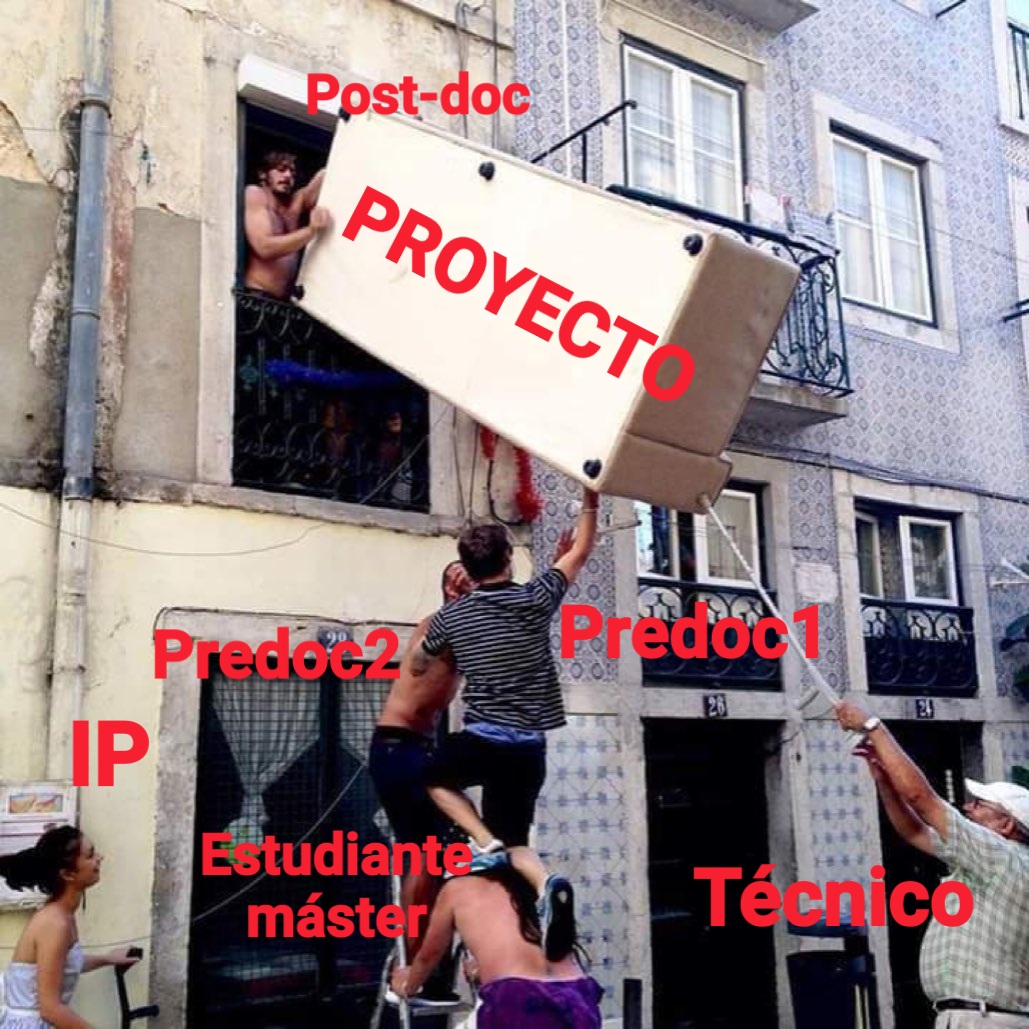 Científico en España tweet media