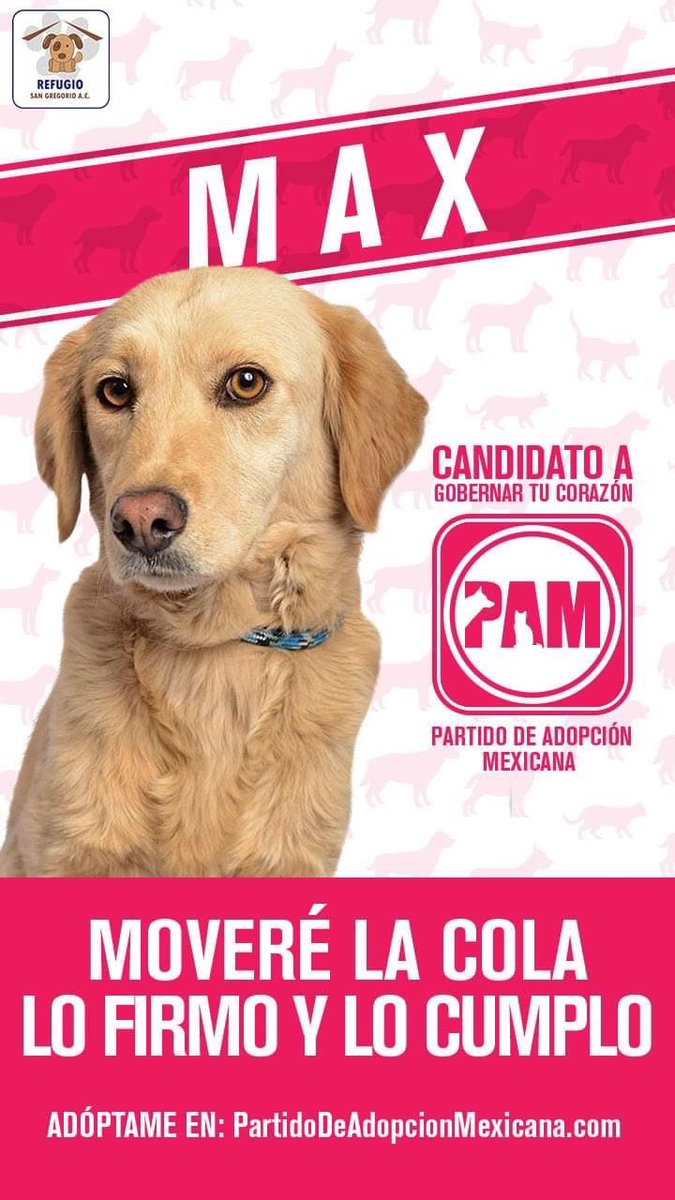 albornoz_mx's tweet photo. Estas son campañas y no pedazos. Puro candidato confiable. https://t.co/eXRpDupiFX