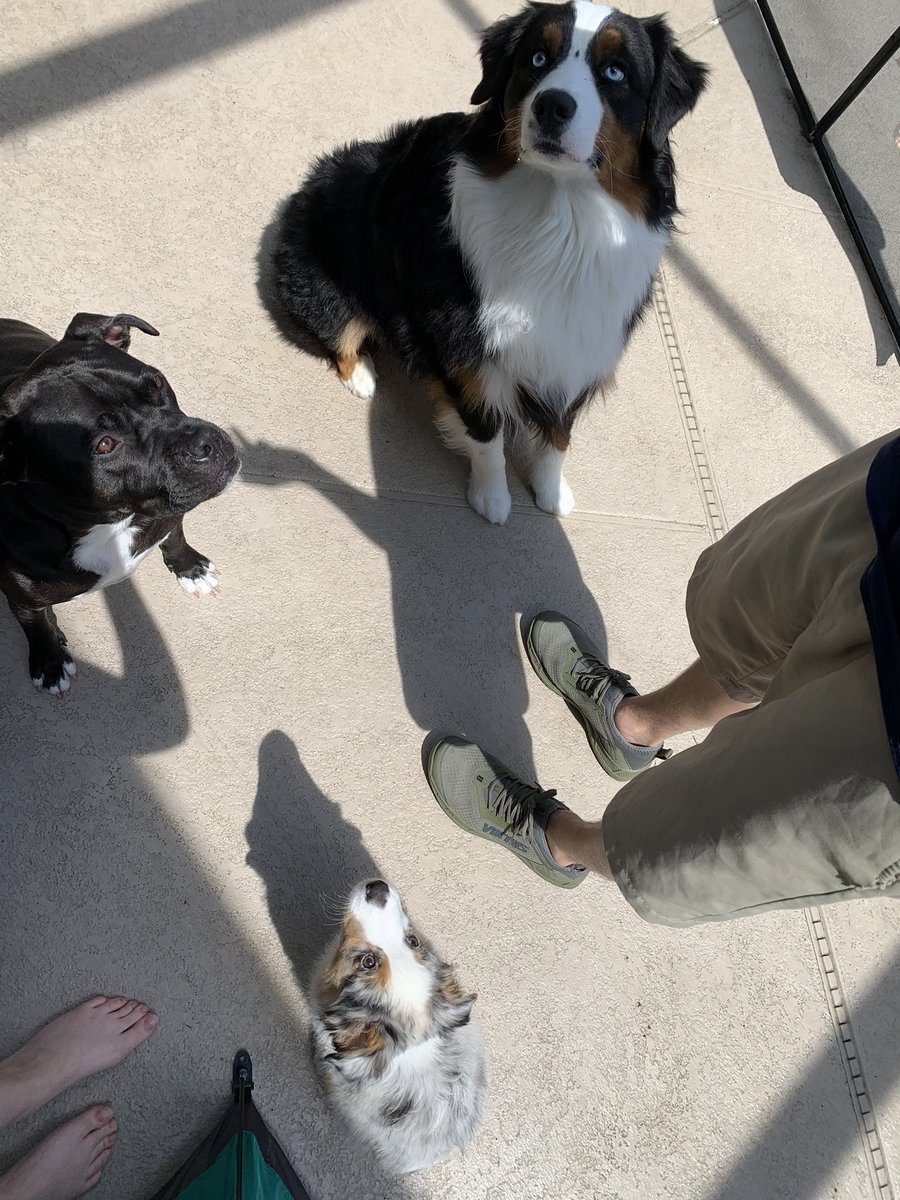 JohnCuni's tweet photo. @Nathanhendrixx They are all horrible models https://t.co/h9P8RCeS2p
