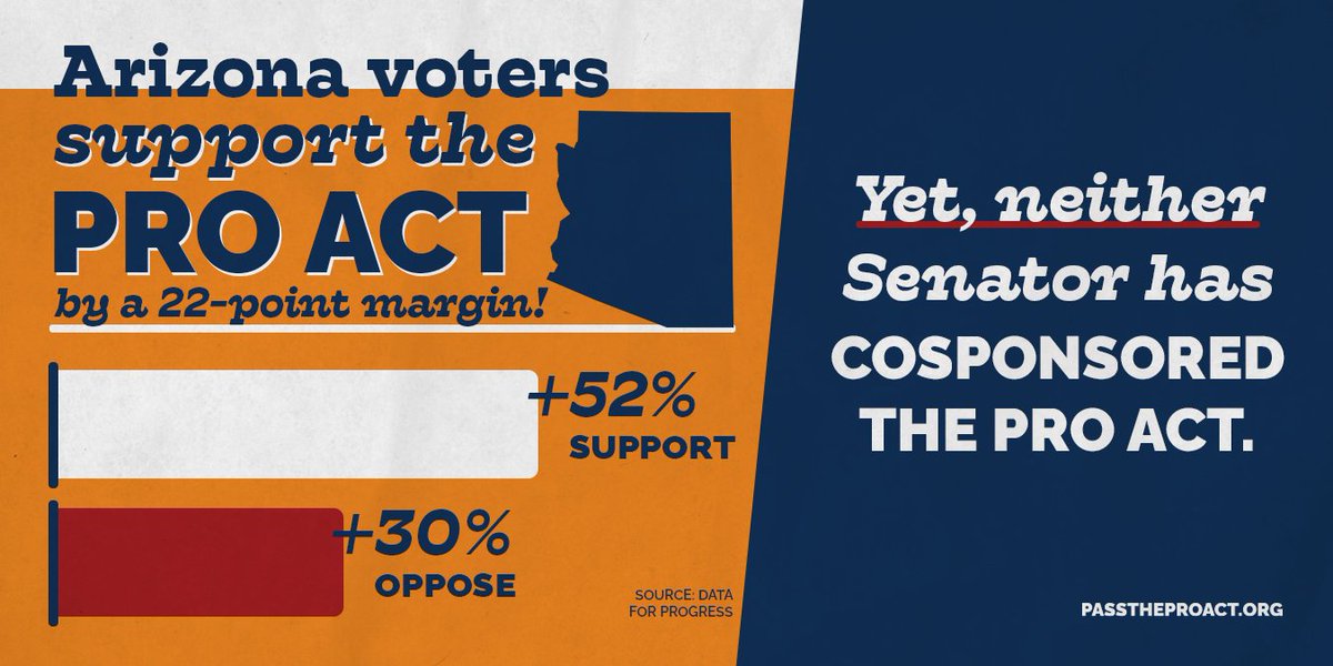 Arizona voters support the PRO Act by a 22-point margin, yet neither Senator has cosponsored what would be the largest expansion of labor rights in a nearly a century.