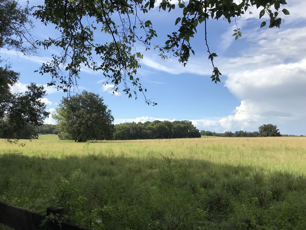 Land near the State Forest - mailchi.mp/5e939e33001d/l…