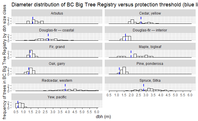 ira_sutherland's tweet photo. This is where the protection thresholds land (blue line) against the distribution of tree size diameters in the BC Big Tree Registry. 

To the right of blue line are protected. 

That 'spruce on a logging truck' is but a stick in the woods compared to other known giants, >4m dbh https://t.co/XjMGj7z7Ck