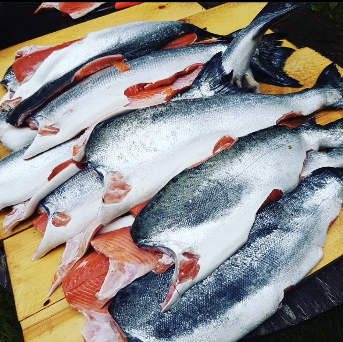 Korywilson's tweet photo. @GWLeah It has been a very hard few weeks, sadly nothing new for us. We have to have each otherโs backs and remember that together we are stronger. These photos made me smile yesterday #sockeye #reliablecar https://t.co/m33vql5HHt