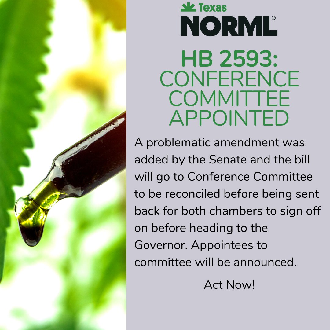 TexasNORML's tweet photo. A problematic amendment was added by the Senate, which Moody has refused. #HB2593 will go to Conference Committee to be reconciled before returning to both chambers to sign off on before heading to the Gov.

Ask your legislator to support HB 2593 as filed: https://t.co/CPYoFrlG38 https://t.co/pmwDLZVoUq