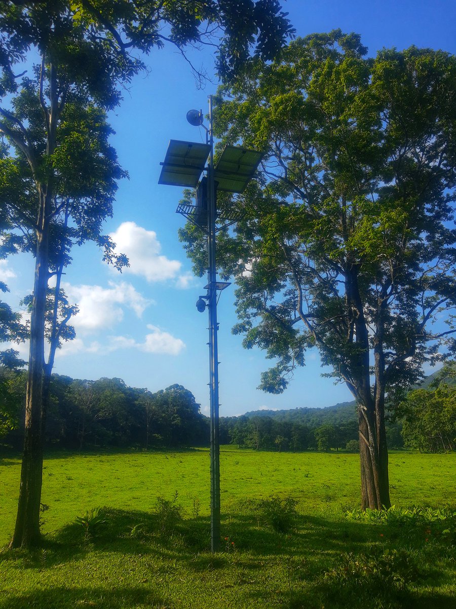 strofes_tech's tweet photo. Monitoring forests using real time cameras.
#diginetra
#ForestHasEyes https://t.co/WMC0i5Ch61
