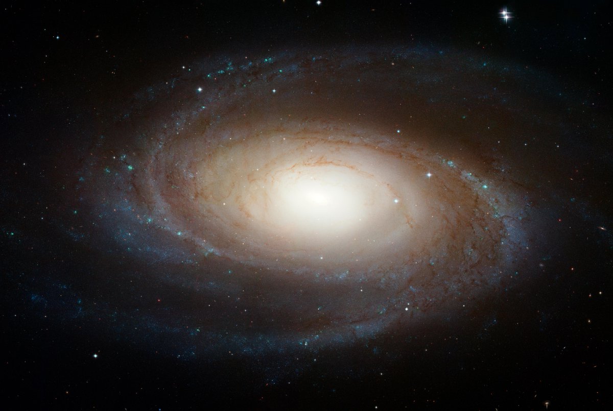 HubbleArchives's tweet photo. On this day (May 28) in 2007, these #Space photos were released:

Hubble/GALEX/Spitzer Composite Image of M81
Spiral Galaxy M81 Details 7
Hubble Photographs Grand Design Spiral Galaxy M81 https://t.co/XCq9i66XHV
