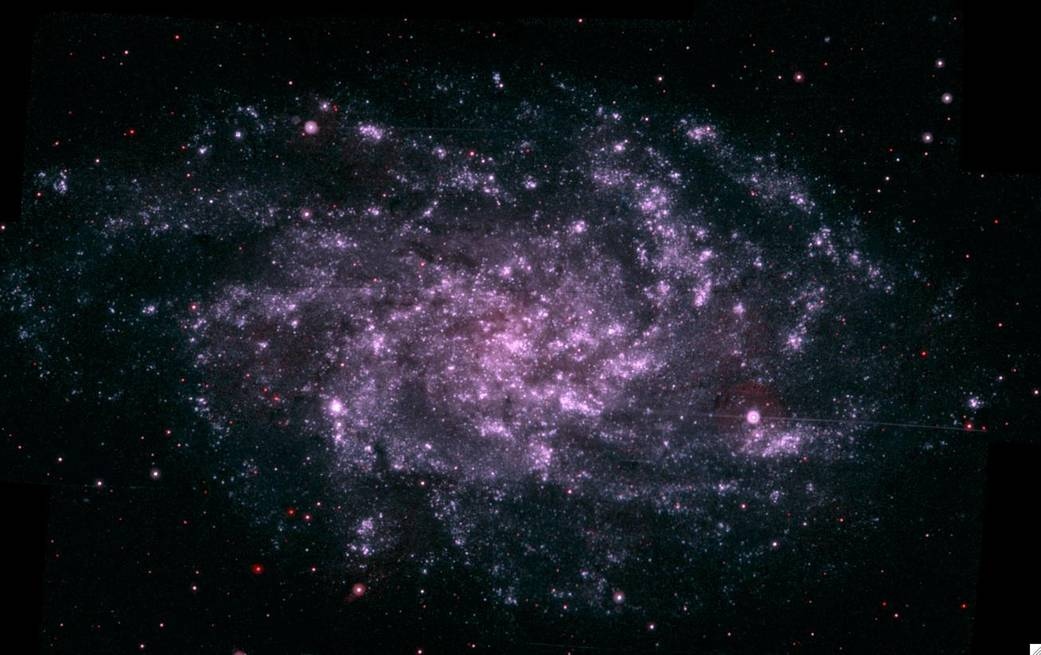 Did you know that looking into #space is looking back in time? 

The Triangulum Galaxy is 3 million light years away. When we observe this galaxy today, we see it as it looked 3 million years ago! 

Image Credit: NASA/Swift Science Team/Stefan Immler

#stars #astronomy #universe