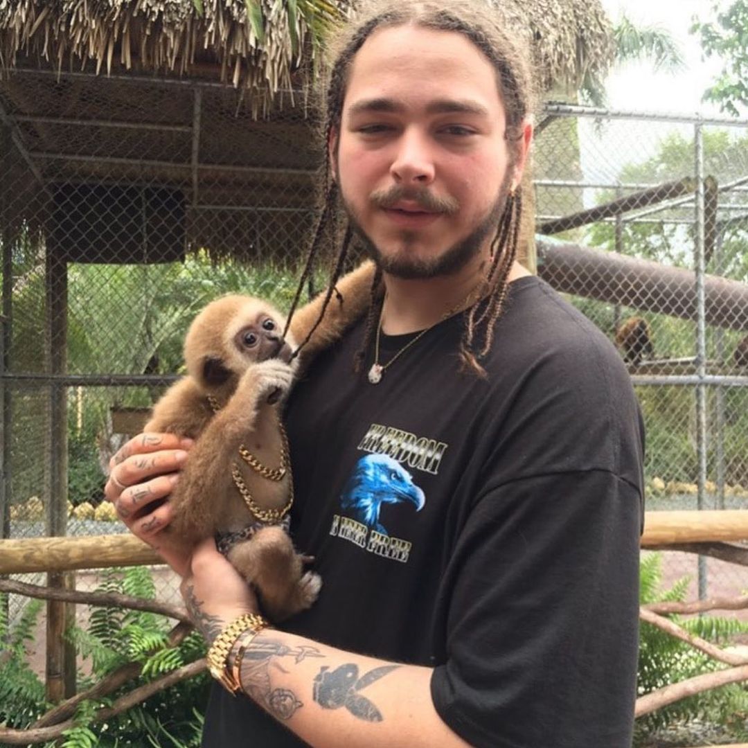 ARTIFAXING (@pedestrian) on Twitter photo 