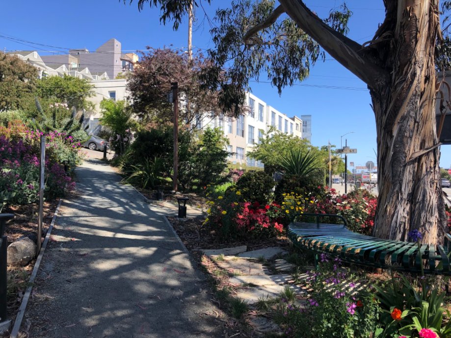 SF_MCD's tweet photo. MCD Mobile MakeArt will be at Tunnel Top Park on 6/26 from 10-2!
Join us to create a planted artwork that explores the way that seeds form an intricate root system over time.
This free art project is inspired by #DesignByTime featured artist Diana Scherer. All ages welcome! https://t.co/4riI54j1fe