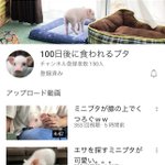 意見は様々だけど、有言実行したら伝説のチャンネルになりそう!